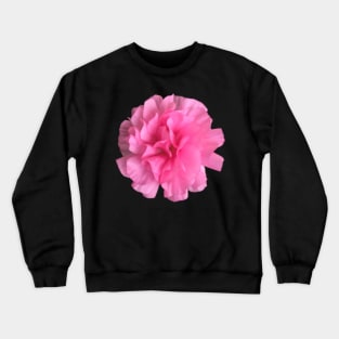 Pink Ranunculus Close-up Pic 2 Crewneck Sweatshirt